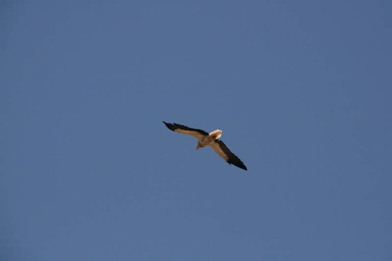 India & Nepal 2011 - 1013